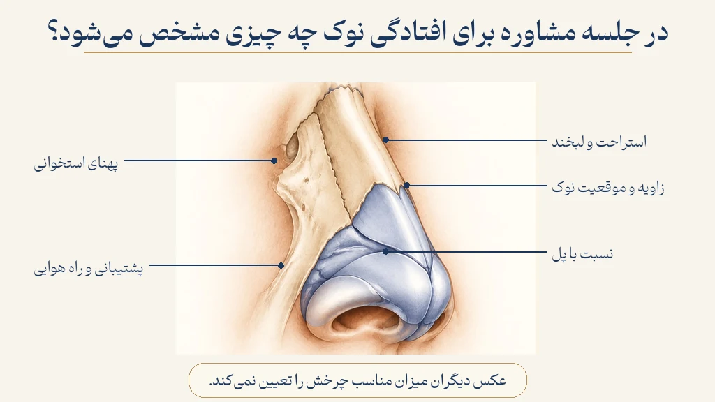 آنچه در معاینه افتادگی نوک بررسی می‌شود