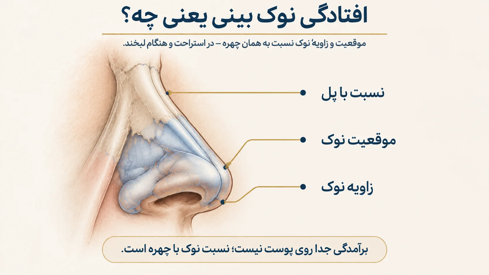 افتادگی نوک: زاویه، موقعیت و نسبت با پل