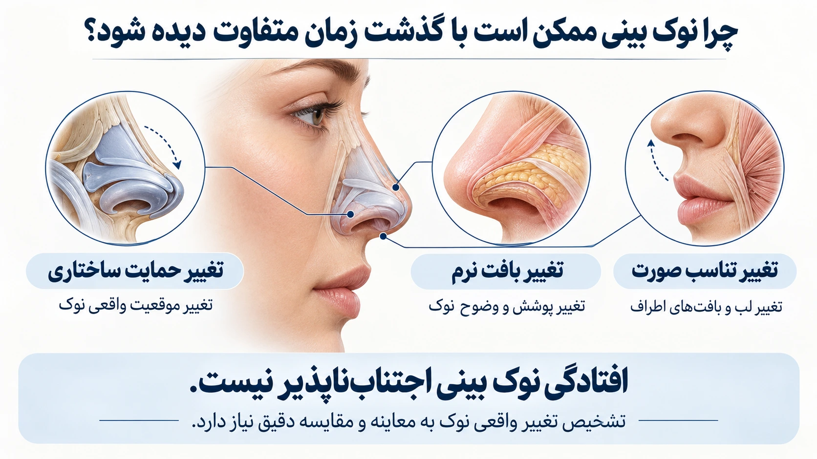 تفاوت تغییر حمایت واقعی نوک، تغییر پوشش بافت نرم و تغییر تناسب صورت