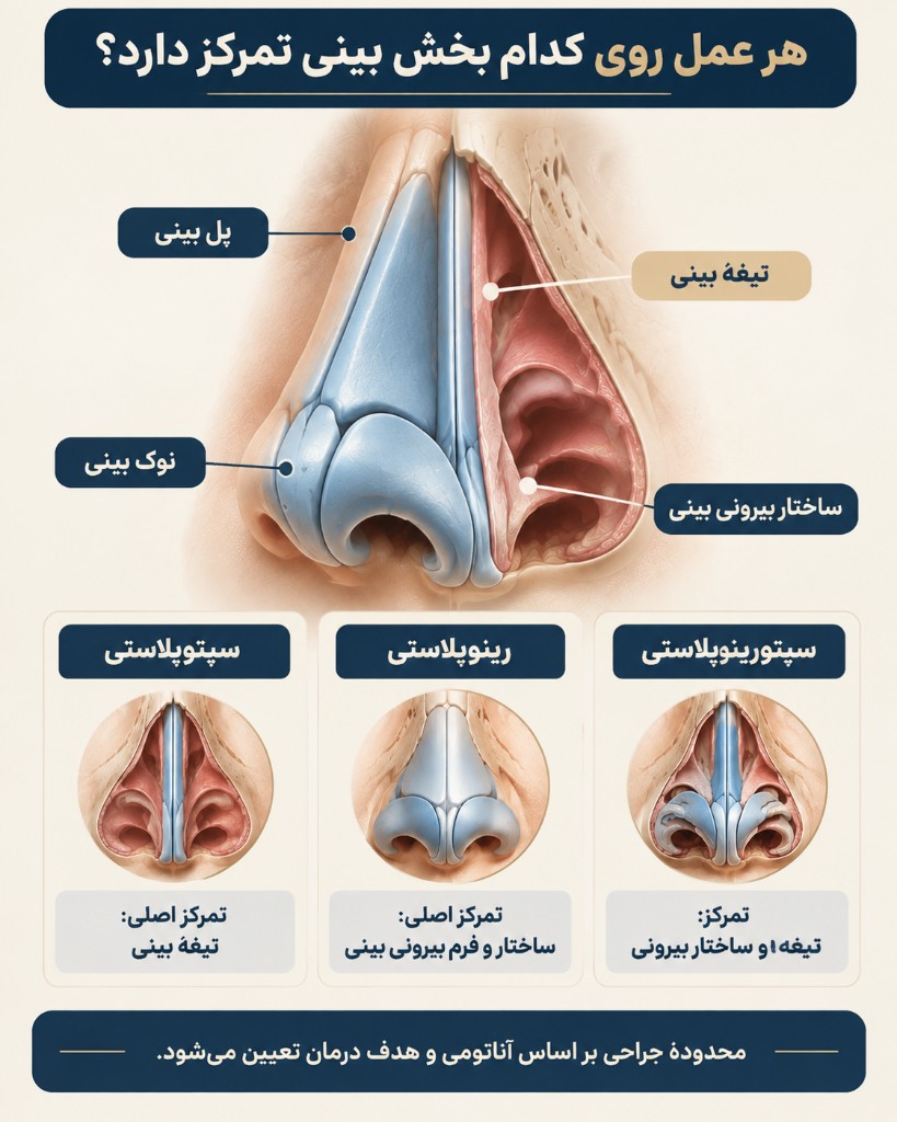 هر عمل روی کدام بخش بینی تمرکز دارد
